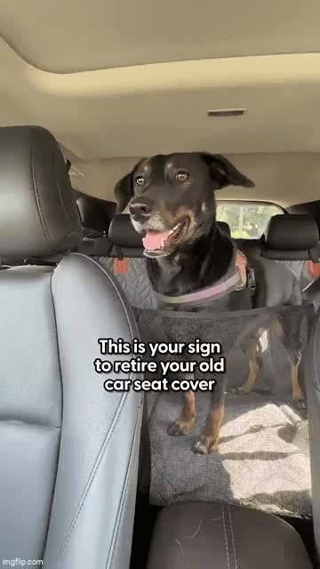 ChakaPakaPets™ Seat Cover